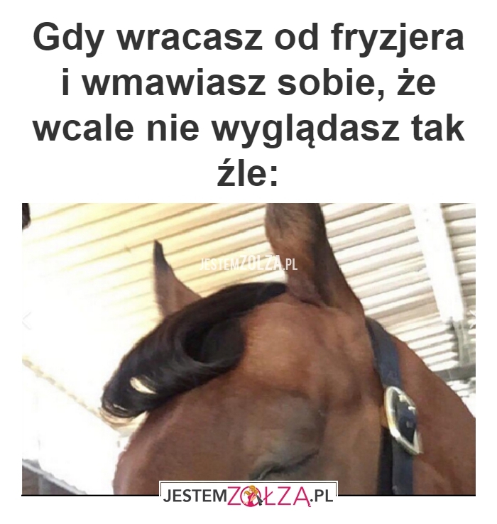 Gdy wracasz od fryzjera