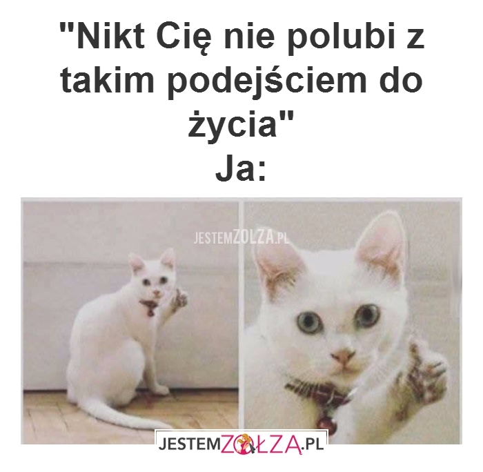 Nie lubi