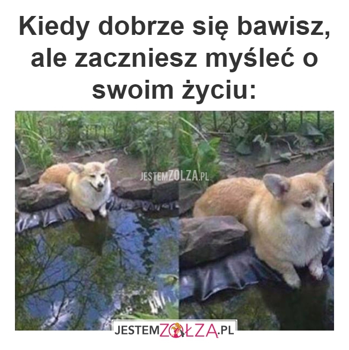 dobra zabawa