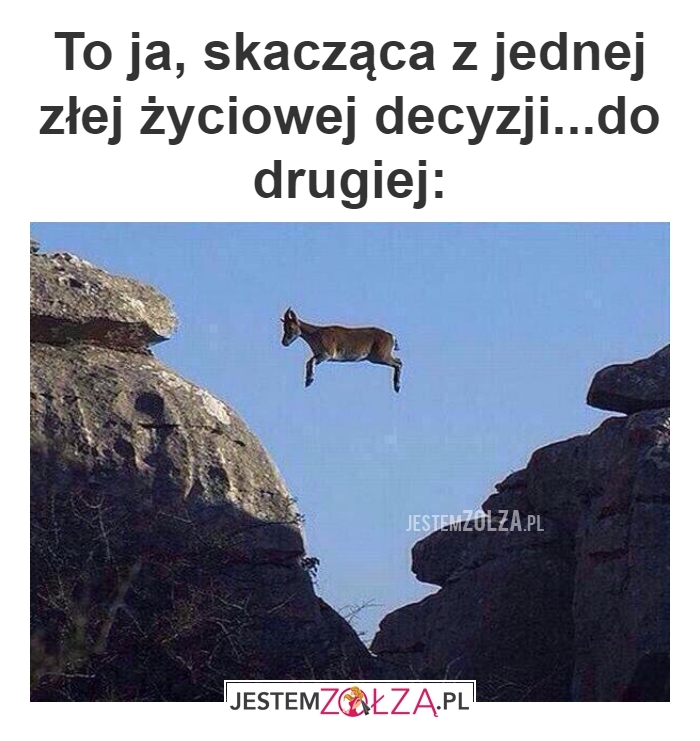 decyzje 