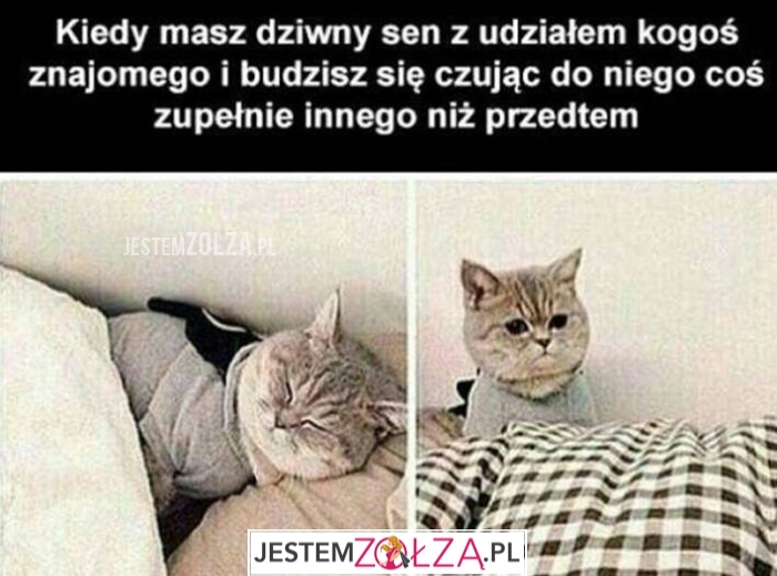 dziwne sny 