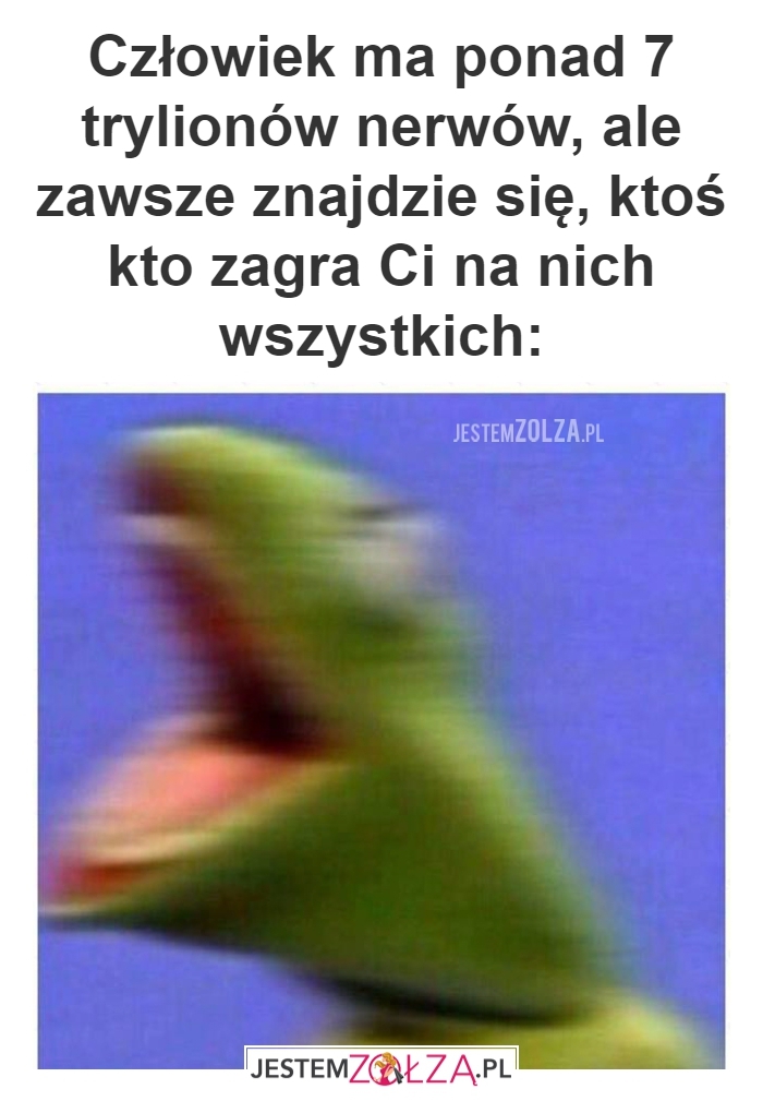 człowiek 