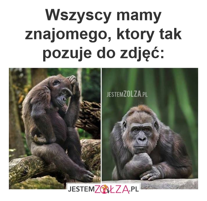 znajomy 