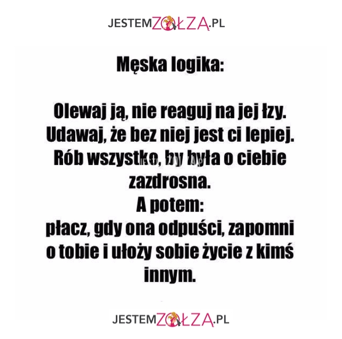 męska logika