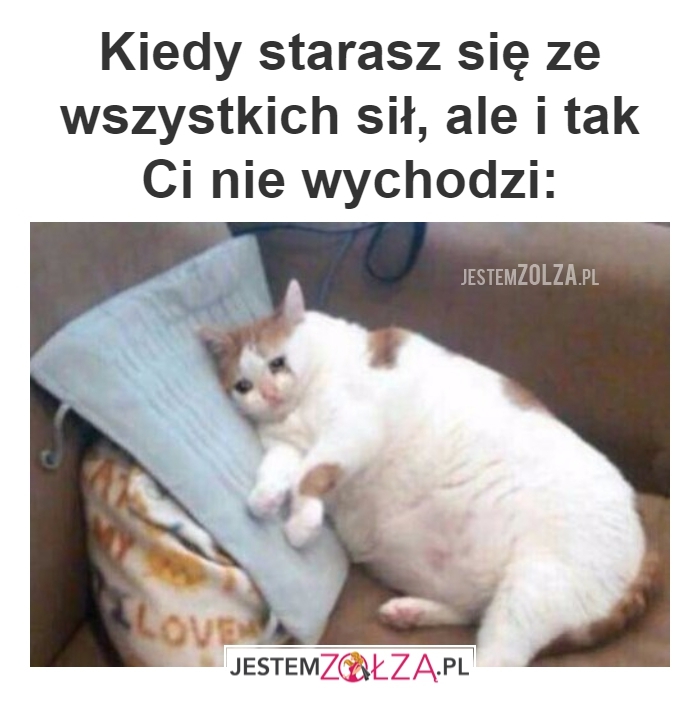 kiedy starasz się 