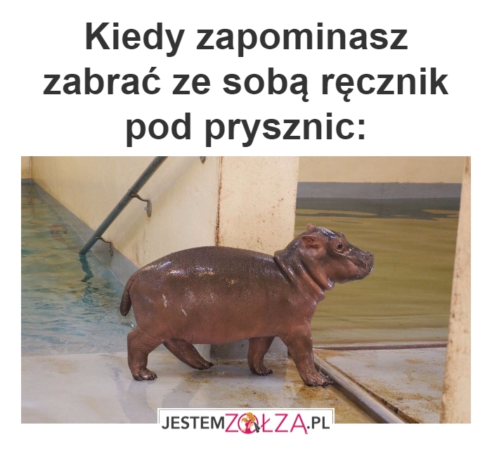 kiedy zapomnisz 