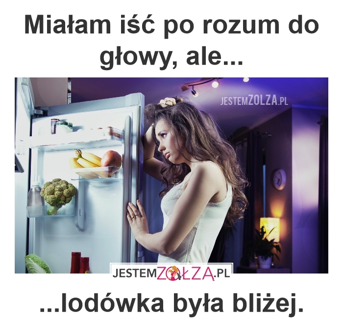 po rozum do głowy 