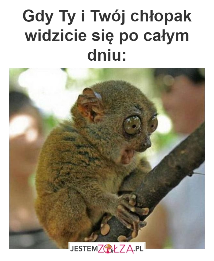 gdy twój chłopak