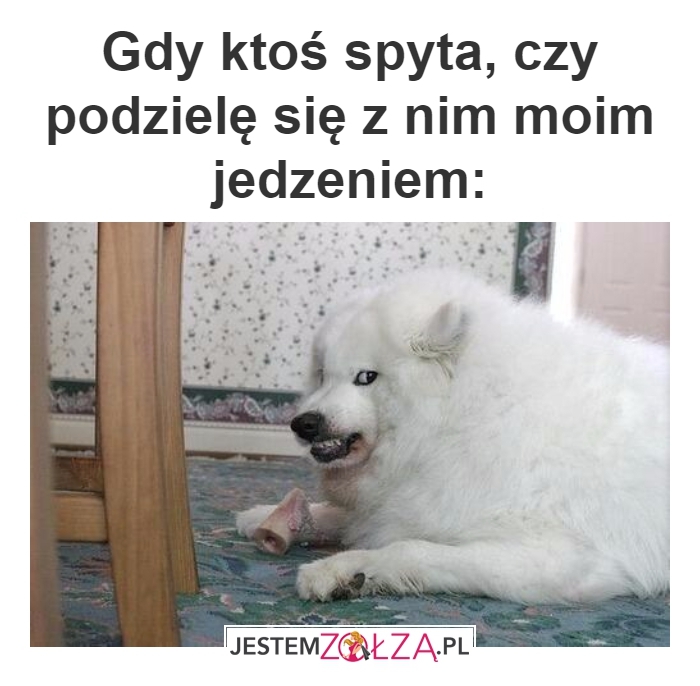 podzielisz się