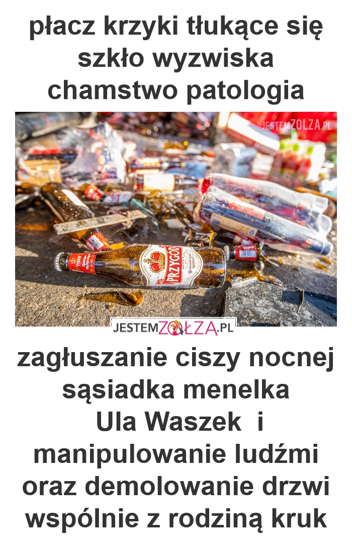 robi z siebie świętą krowe Ula Waszek : Nocne libacje zmorą mieszkańców Wałbrzych