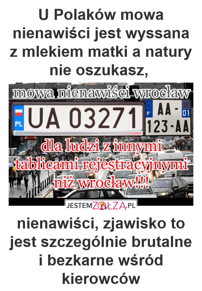 problemem mowy nienawiści w Polsce. 