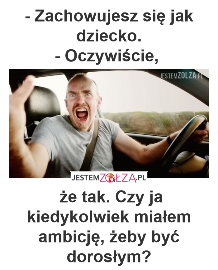 agresywny taxi szajbus ryba wrocław