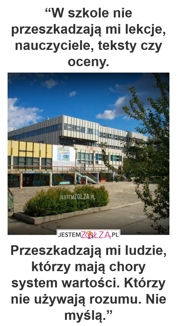 wałbrzych  : szkoła 21 debili usprawiedliwiają nienawiści i głupota,  podżeganie do nienawiści uczniów hmm