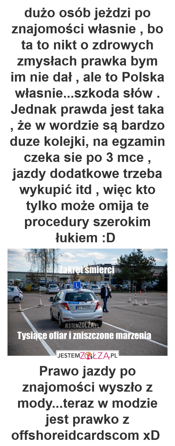 swieta krowa Dominik Sawulczyk