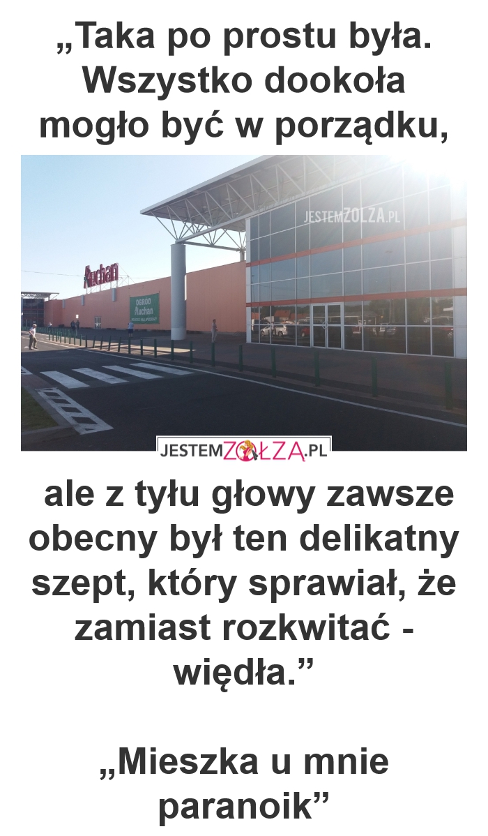 Auchan prześladowcy ,Wałbrzych , podżeganie do nienawiści