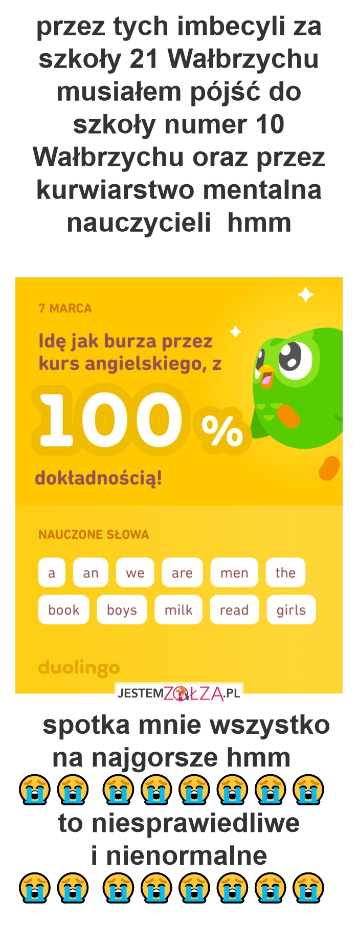 wałbrzych szkoła 21  niedocenia doskonałość nauki duolingo 