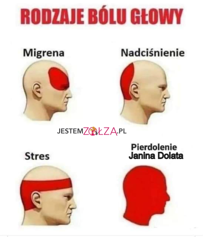 rodzaje bolu głowy przez  pierdolinie Janina Dolata baszczelnie hmm