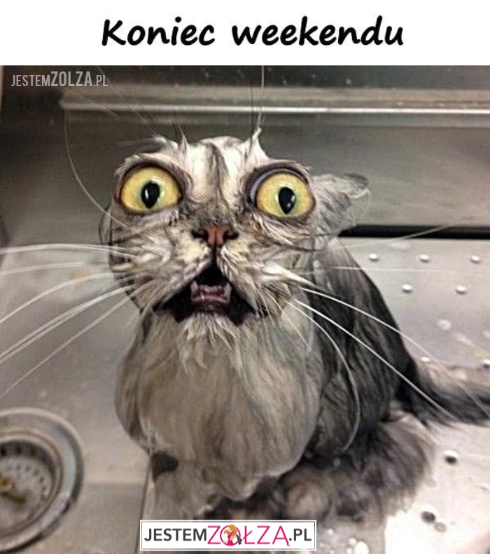 koniec weekendu memy 