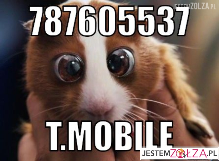 787605537 T.mobile - Memy