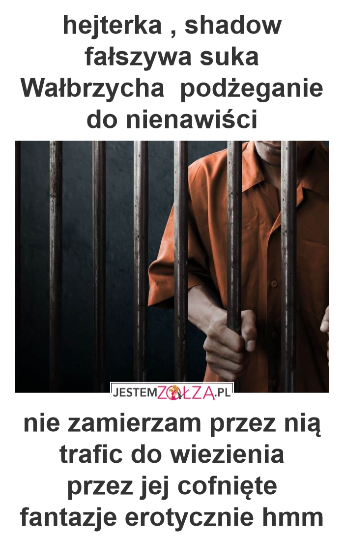 hejterka , shadow fałszywa suka wałbrzycha podżeganie do nienawiści