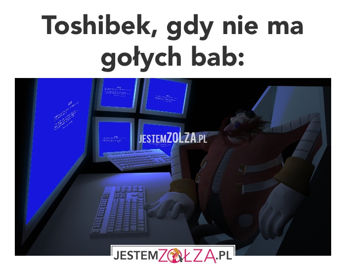 Toshibek ma małe jaja i głowę