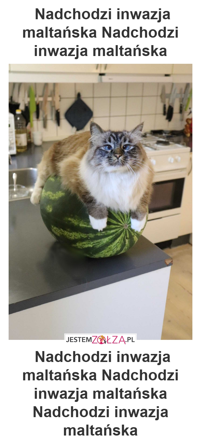  Nadchodzi inwazja maltańska