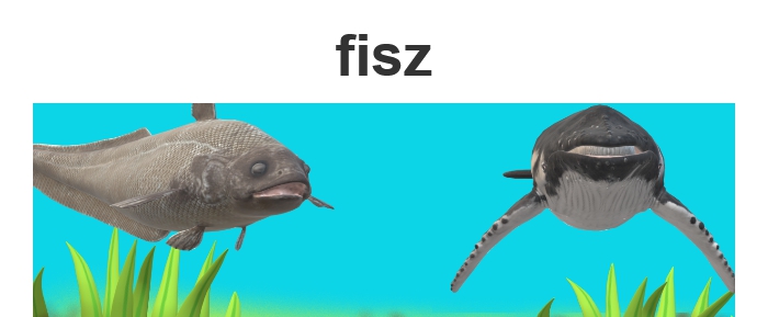 fisz